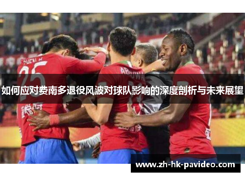 如何应对费南多退役风波对球队影响的深度剖析与未来展望