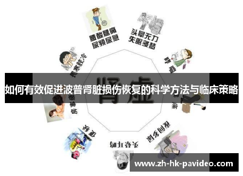 如何有效促进波普肾脏损伤恢复的科学方法与临床策略