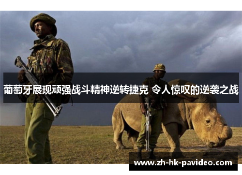 葡萄牙展现顽强战斗精神逆转捷克 令人惊叹的逆袭之战