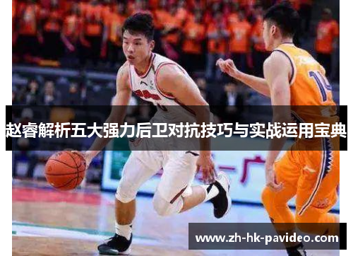 赵睿解析五大强力后卫对抗技巧与实战运用宝典