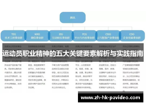 运动员职业精神的五大关键要素解析与实践指南